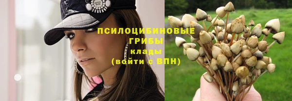 не бодяженный Володарск