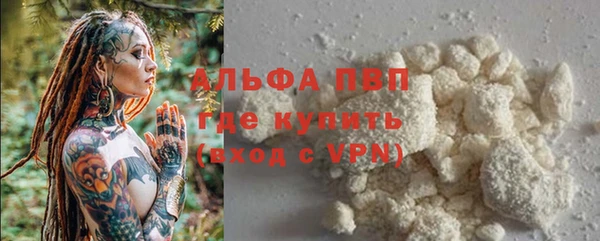 ПСИЛОЦИБИНОВЫЕ ГРИБЫ Верхнеуральск