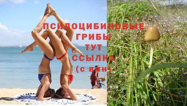 не бодяженный Верея