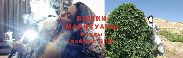 сатива Строитель