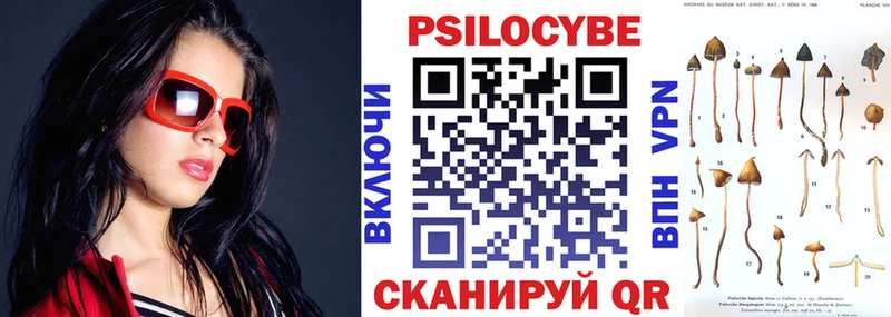 MEGA сайт  Белгород  Псилоцибиновые грибы GOLDEN TEACHER 